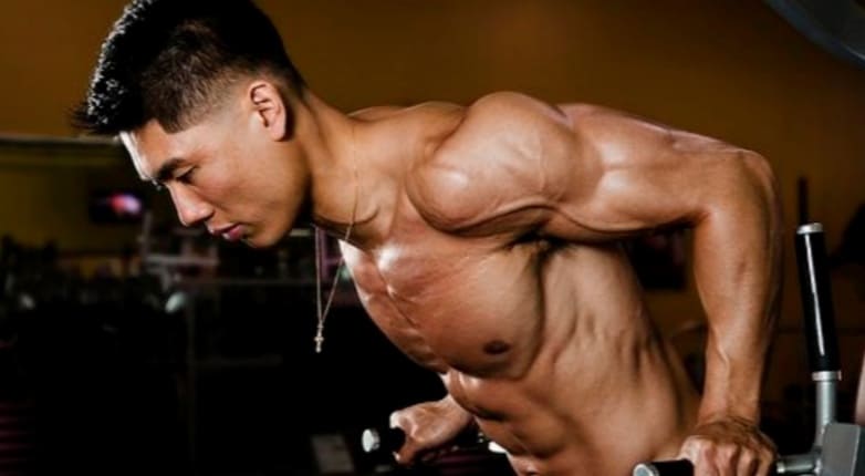 What Muscles Do Dips Work? How to Do Them?
